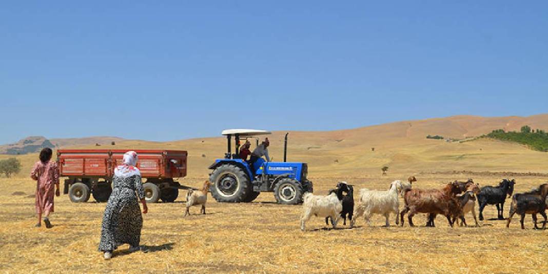 Yaz bitti dönüş yoluna geçildi! 5 ay süren serüven: Birçoğunun geçim kaynağı… 5